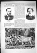 Antique Print 1884 William Mitchell Walter Arnott Duke Hamilton Wild Cattle