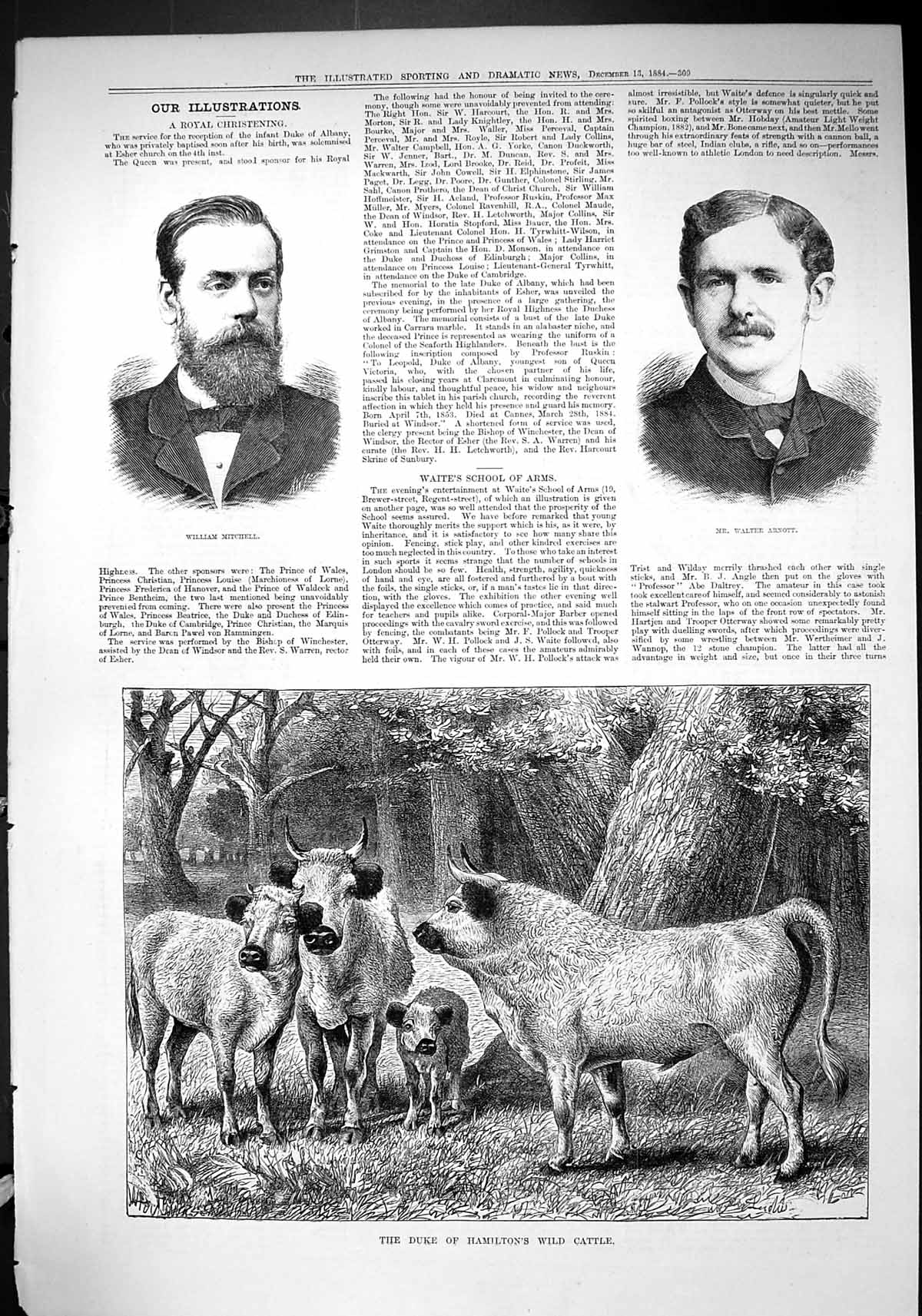 Antique Print 1884 William Mitchell Walter Arnott Duke Hamilton Wild Cattle