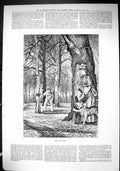 Antique Old Print 1884 Hide Seek Children Playing Forest Woman Dog Hallward