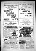 Old Print 1884 Wilson'S Cakes Biscuits Nubian Polish Lantern Champion Gun 19th