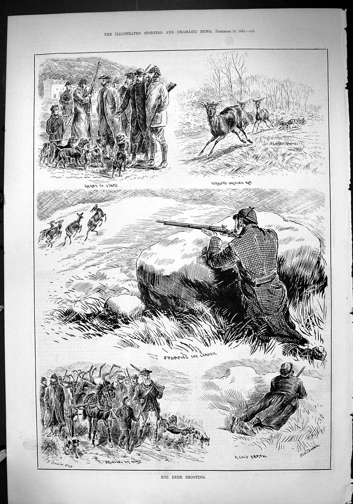 Old Antique Print 1884 Roe Deer Shooting Hunting Terriers Driving Sport 19th
