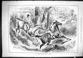 Antique Old Print 1884 Horses Hunting Sport Jumping Fences Countryside Swain