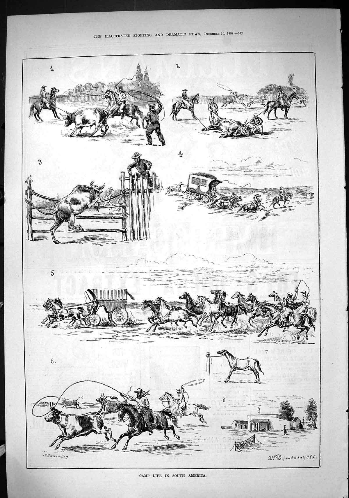 Antique Old Print 1884 Camp Life South Africa Cattle Horses Cowboys Transport