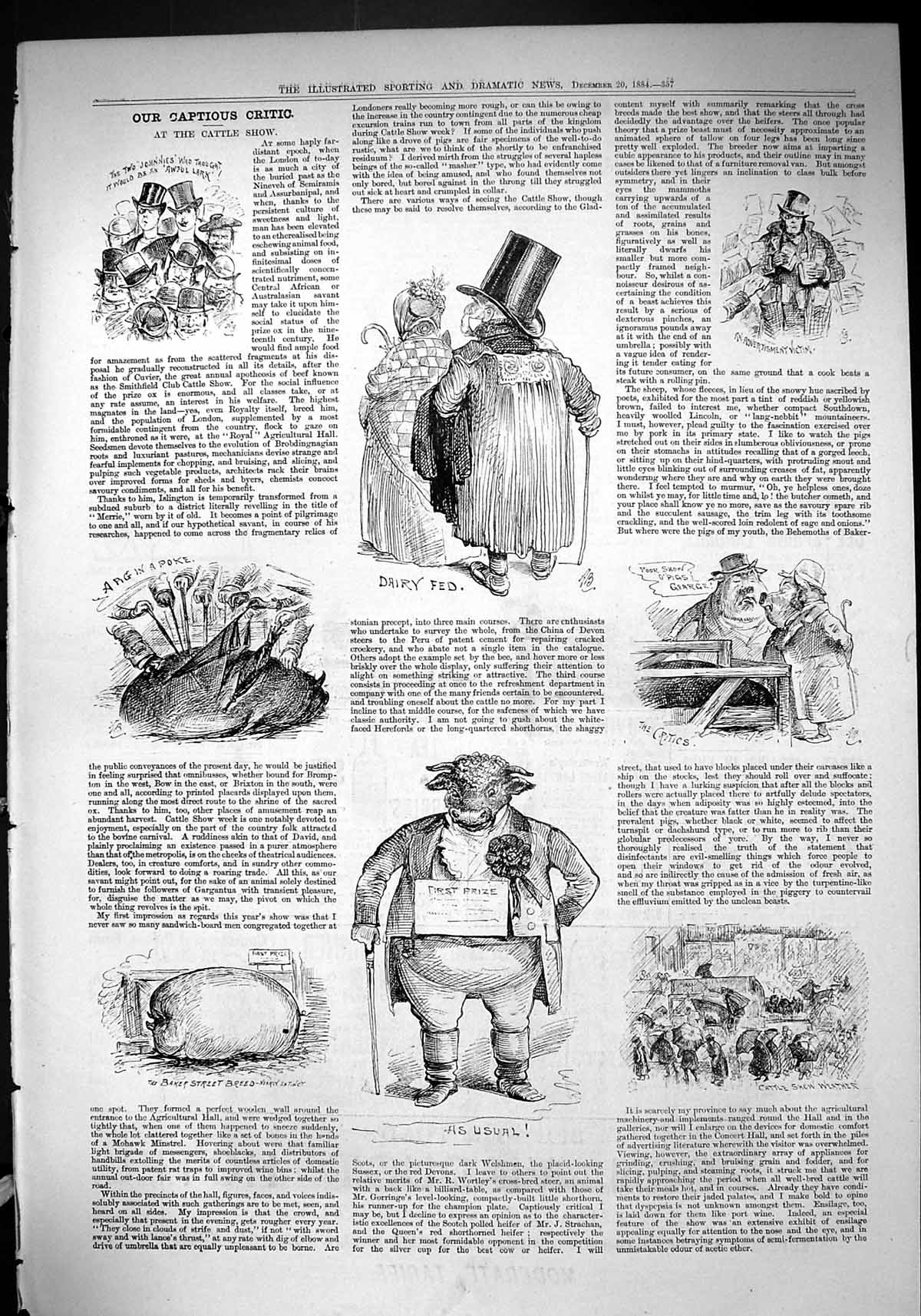 Original Old Antique Print 1884 Captious Critic Cattle Show Theatre Pig Poke