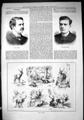 Antique Print 1885 Portrait Leslie Corcoran Vassall Stags Tines Deer Nature