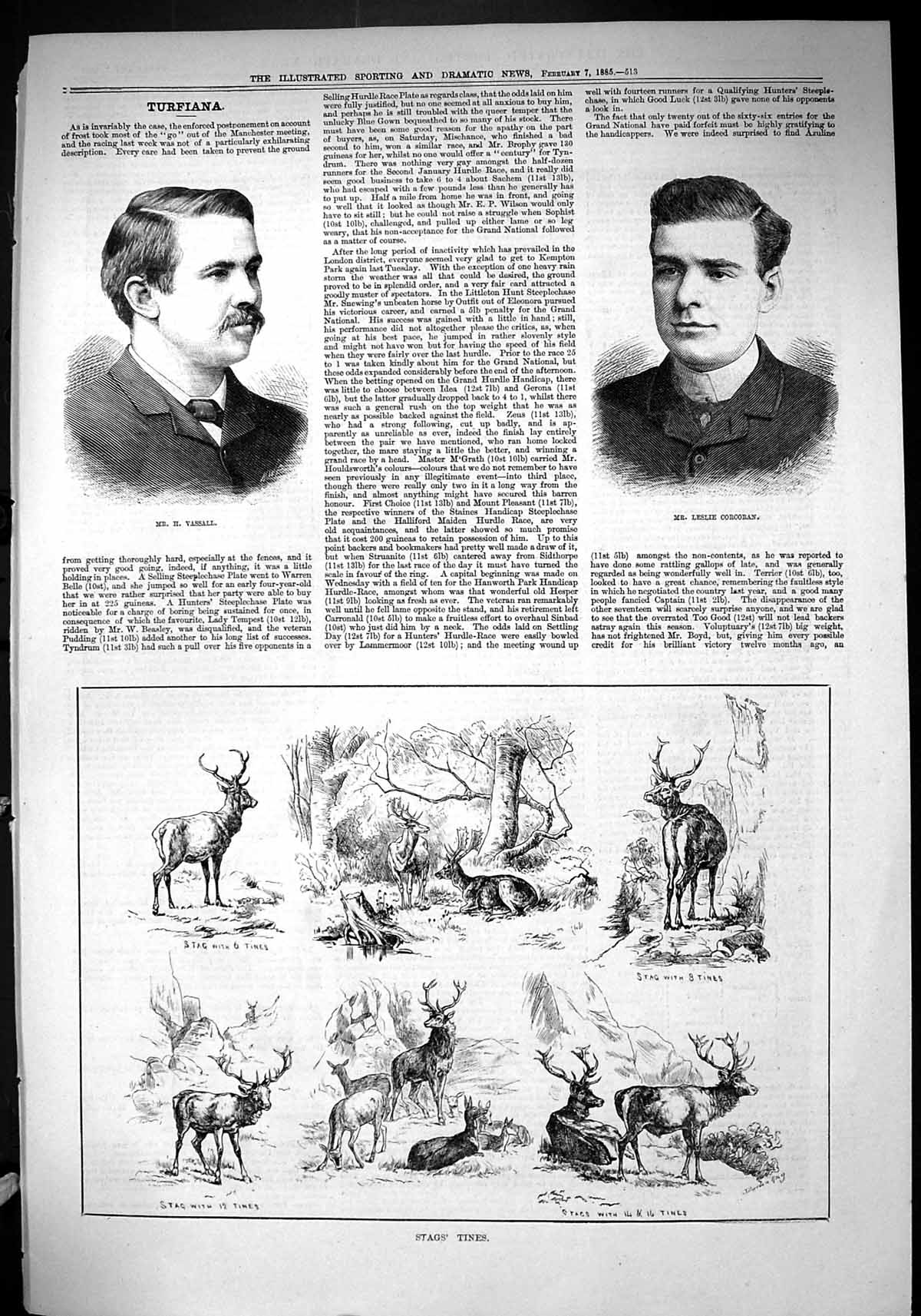 Antique Print 1885 Portrait Leslie Corcoran Vassall Stags Tines Deer Nature