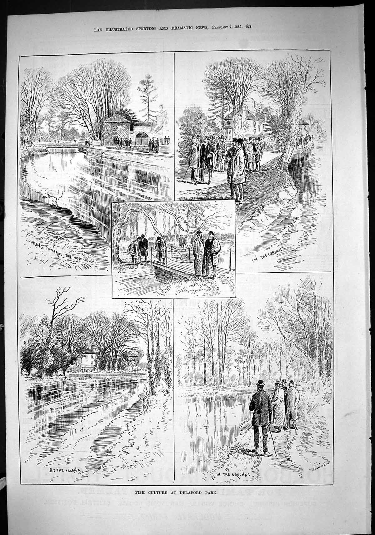 Original Old Antique Print 1885 Fish Culture Delaford Park Dove House Garden