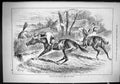 Original Old Antique Print 1885 Horses Jockeys Training Countryside Sport 19th