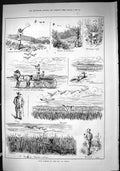 Old 1885 Wild Fowling Shooting Hunting Canada Birds Sport Henry Swain Victorian