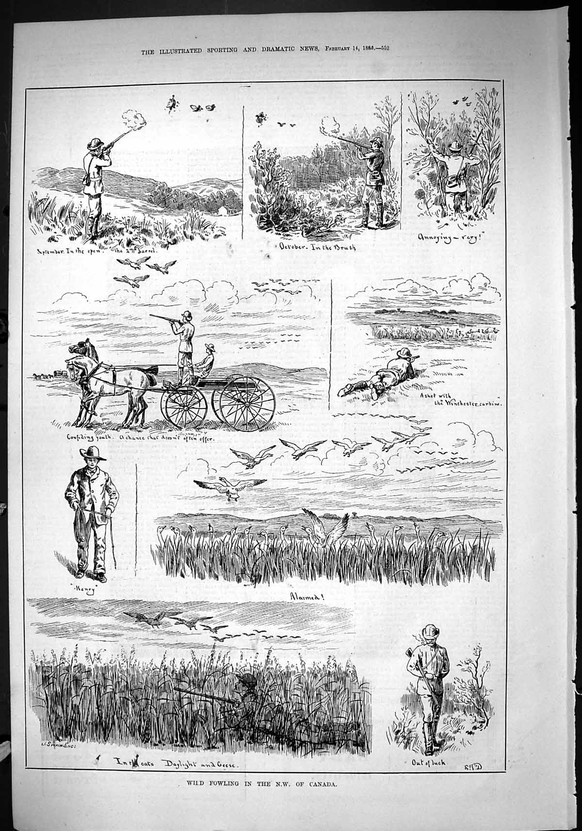 Old 1885 Wild Fowling Shooting Hunting Canada Birds Sport Henry Swain Victorian