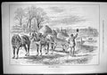 Old 1885 Rustic Halloa Agriculture Farming Horses Hunting Sport Hunts Victorian
