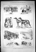 Old 1885 Waterloo Cup Altcar Greyhounds Dogs Glendyne Bit Fashion Spo Victorian