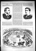 Old Antique Print 1885 CobbM'George London Show Shire Horse Society Swain 19th