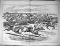 Old Sporting Dramatic News 1885 Grand National Steeplechase Horse Rac 0 19th