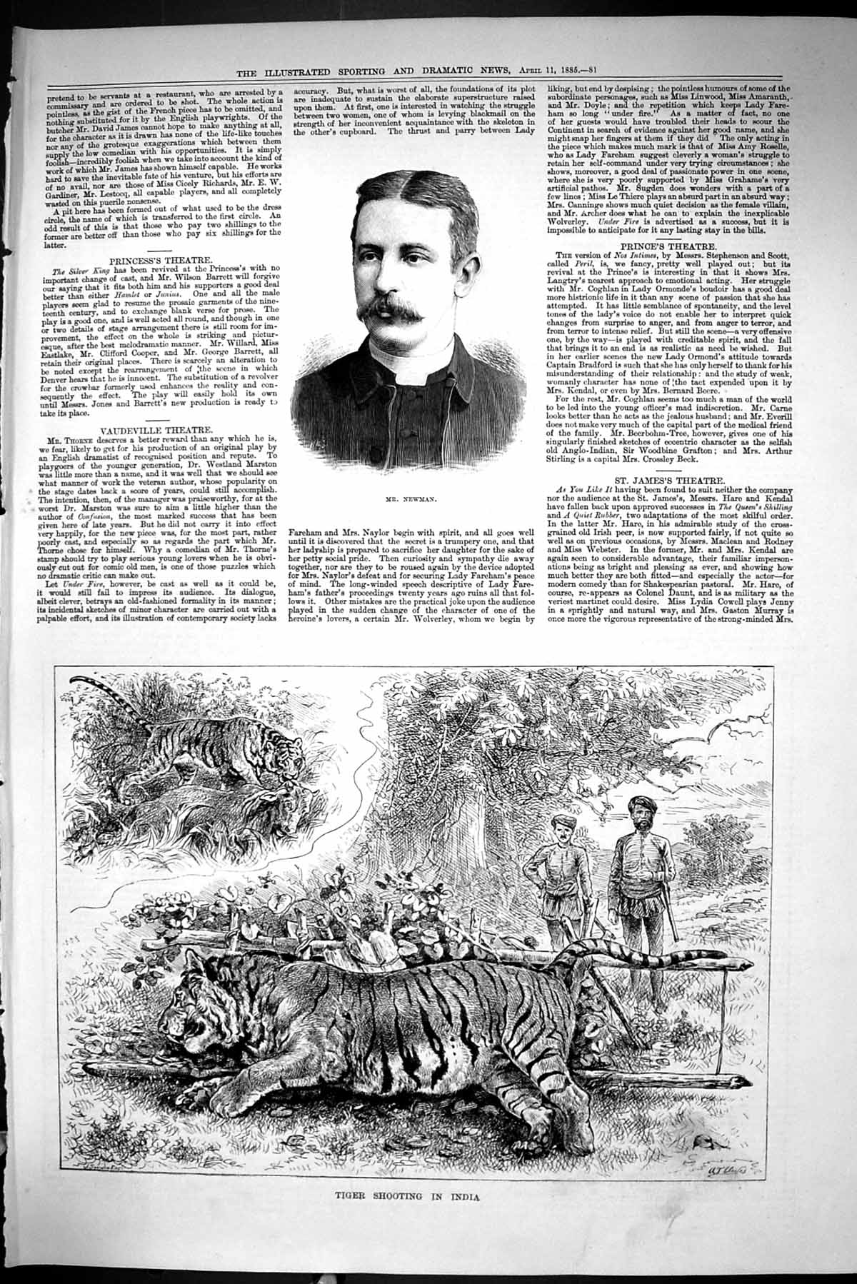 Old Sporting Dramatic News 1885 Newman Tiger Shooting India Hunting S Victorian