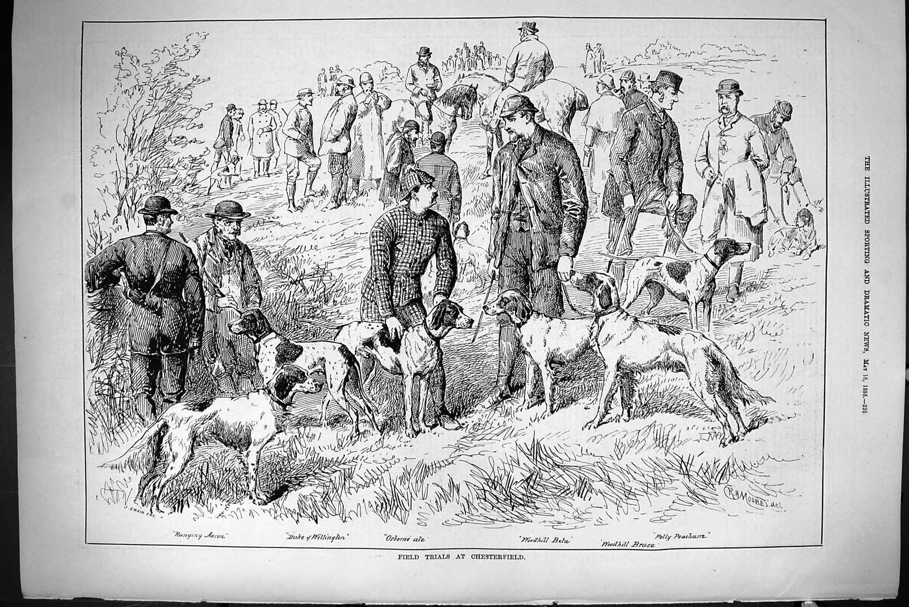 Old 1885 Hunting Field Trials Chesterfield Dogs Beta Duke Wellington Victorian