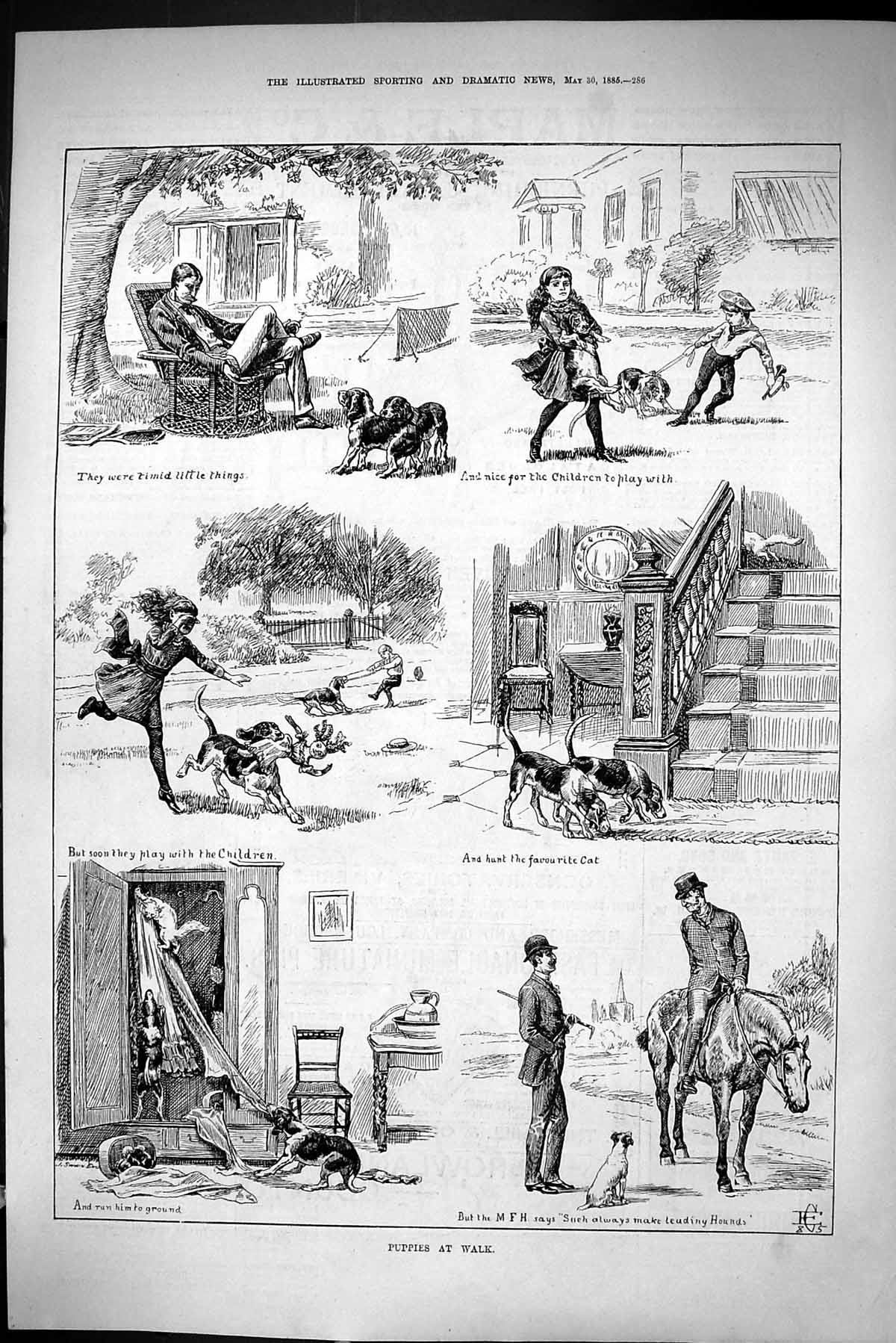 Old Sporting Dramatic News 1885 Puppies Exercise Hunting Hounds Child Victorian
