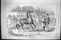 Old Sporting Dramatic News 1885 Favourite Shows Temper Horses Trainer Victorian