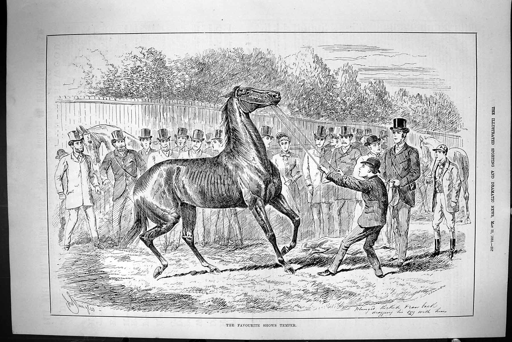 Old Sporting Dramatic News 1885 Favourite Shows Temper Horses Trainer Victorian
