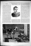 Old Sporting Dramatic News 1885 Frank Tyars Harbour Refuge Hound Dog Victorian