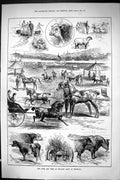 Old Sporting Dramatic News 1885 Bath England Show Brighton Horses She Victorian