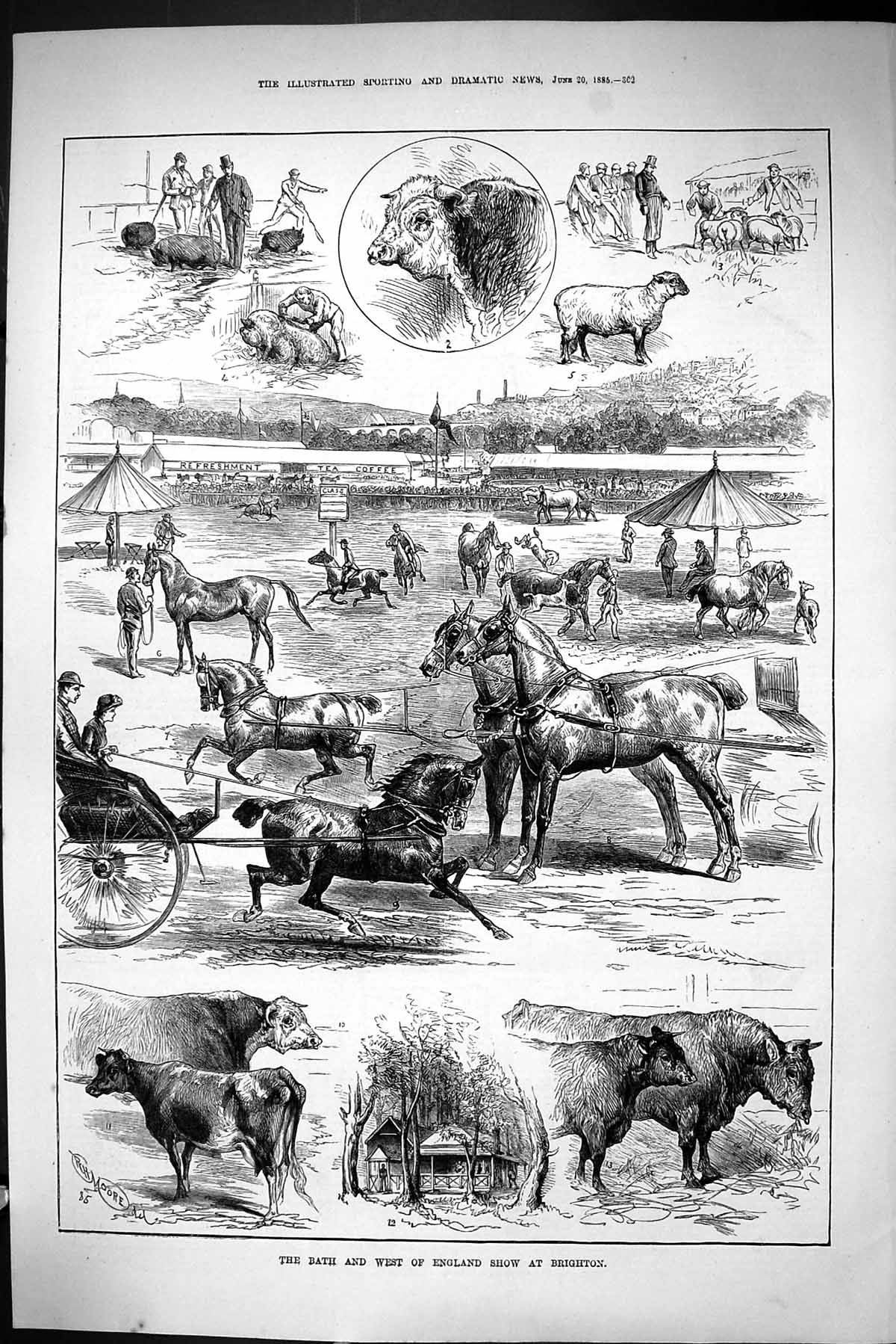 Old Sporting Dramatic News 1885 Bath England Show Brighton Horses She Victorian
