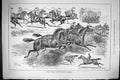 Old Sporting Dramatic News 1885 Cavalry Display Military Tournament H Victorian