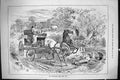 Old Sporting Dramatic News 1885 Bucking Horses Transport Coach Swain Victorian