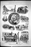 Old 1885 Agricultural Show Market Harborough Glover Ducks Rabbit Duke Victorian
