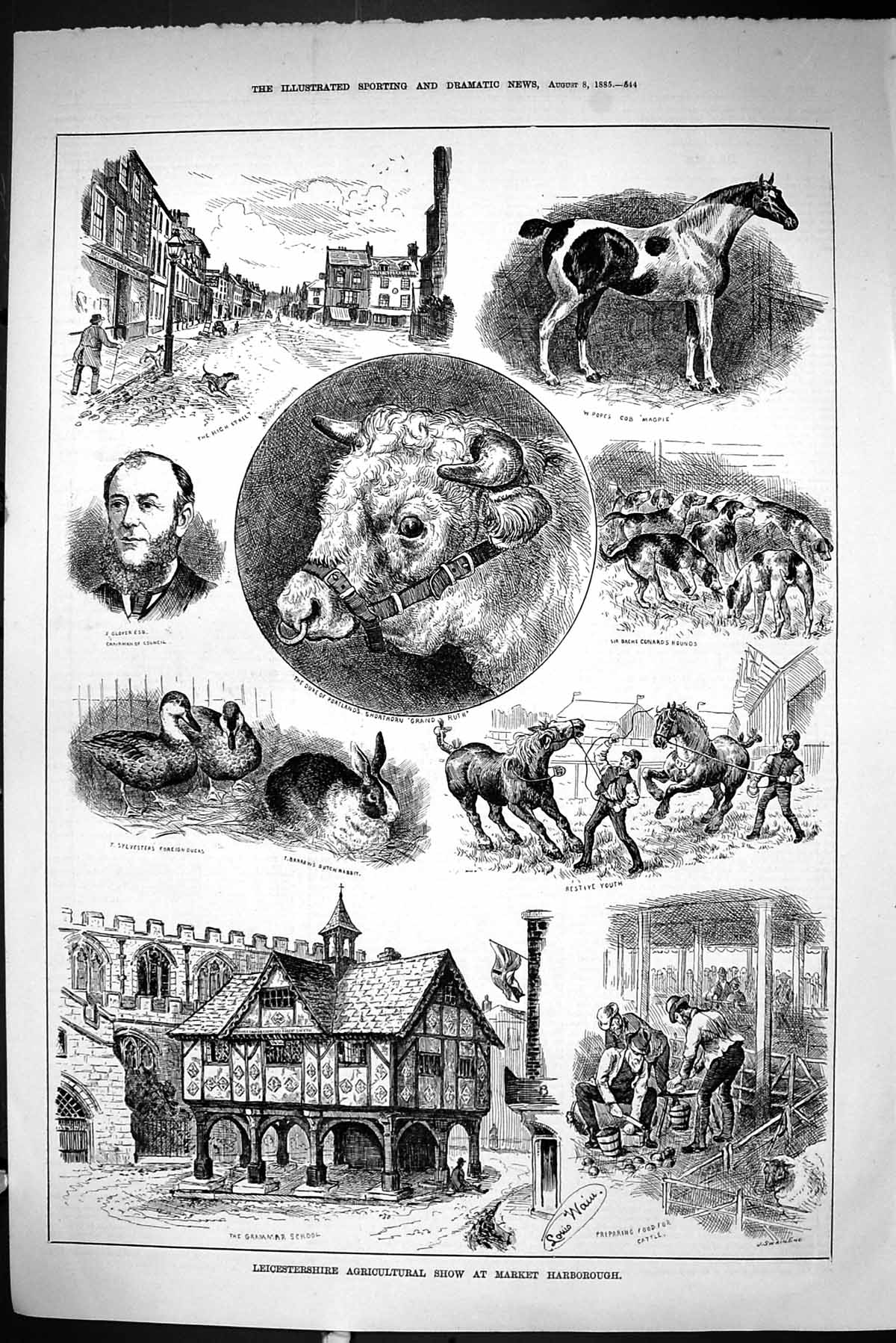 Old 1885 Agricultural Show Market Harborough Glover Ducks Rabbit Duke Victorian