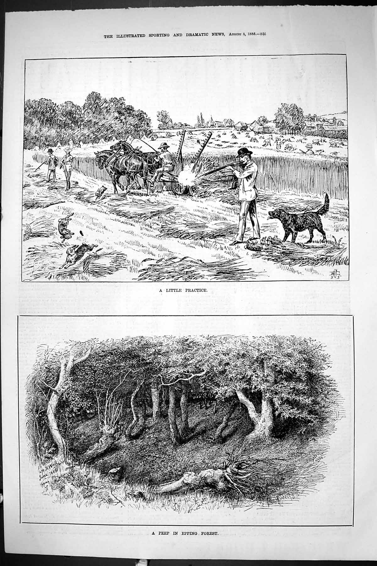 Old Sporting Dramatic News 1885 Peep Epping Forest Hunting Shooting P Victorian