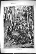 Old Sporting Dramatic News 1885 Australian Bush Wild Horses Fine Art Victorian