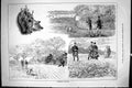 Old Sporting Dramatic News 1885 Partridge Shooting Hunting Birds Men Victorian