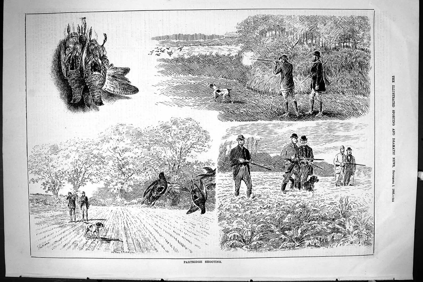 Old Sporting Dramatic News 1885 Partridge Shooting Hunting Birds Men Victorian