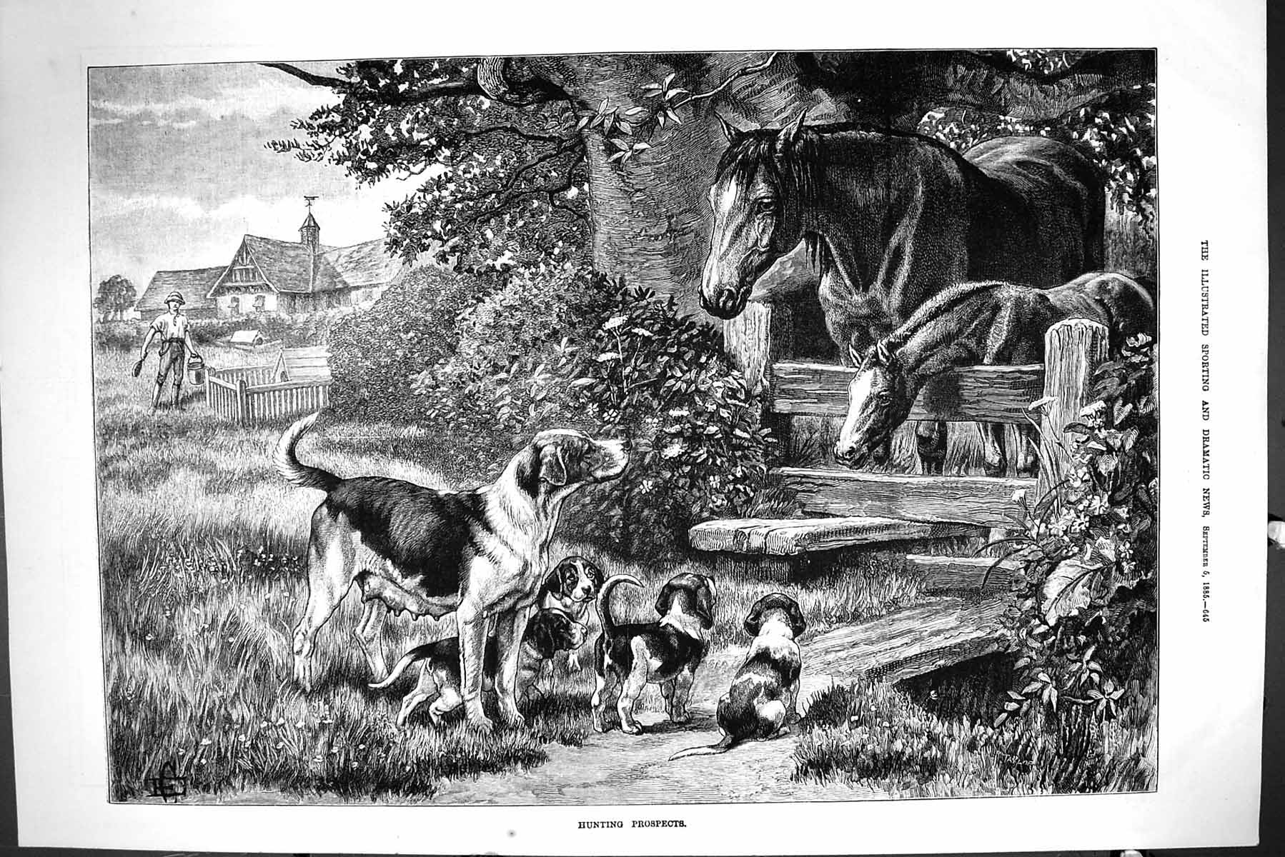 Old Sporting Dramatic News 1885 Hunting Horses Hounds Dogs Puppies Fi Victorian