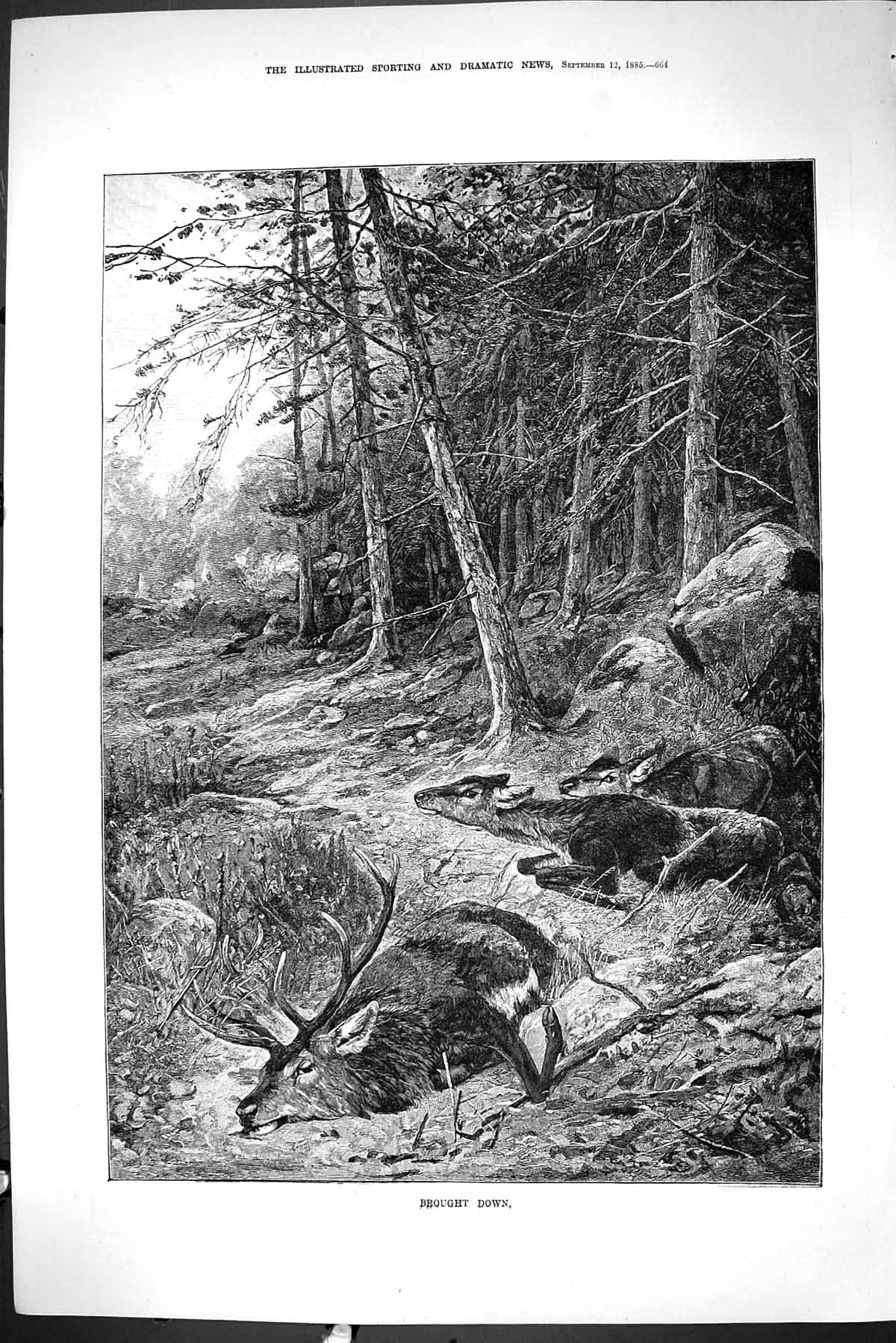 Old Sporting Dramatic News 1885 Brought Down Deer Stag Hunting Shooti Victorian
