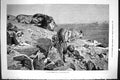 Old Sporting Dramatic News 1885 Fine Art Scene Desert Lions Wild Anim Victorian