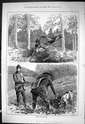 Old Sporting Dramatic News 1885 Black-Cock Shooting Birds Hunting Spo Victorian
