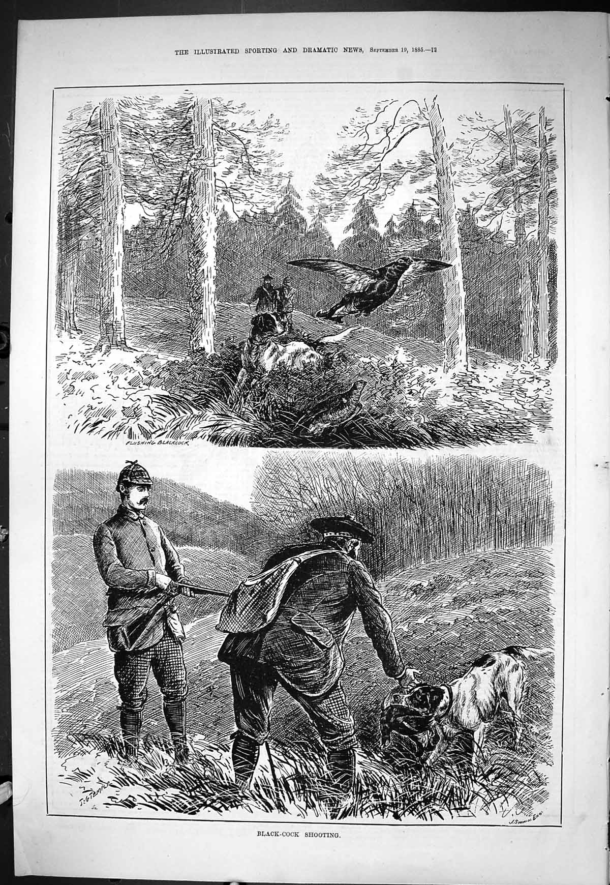 Old Sporting Dramatic News 1885 Black-Cock Shooting Birds Hunting Spo Victorian