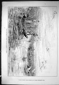 Old Sporting Dramatic News 1885 H.R.H. Prince Wales Wild Goose Shooti Victorian