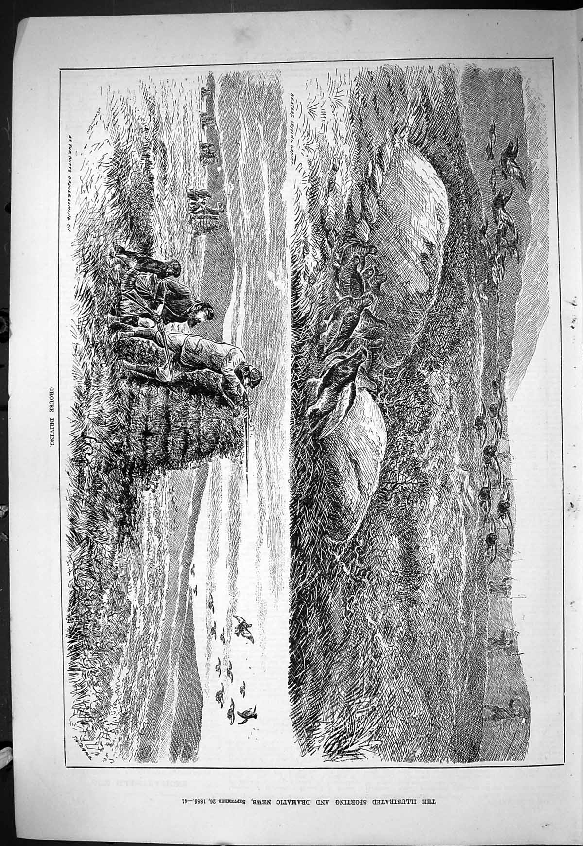 Old Sporting Dramatic News 1885 Grouse Driving Hunting Shooting Birds Victorian