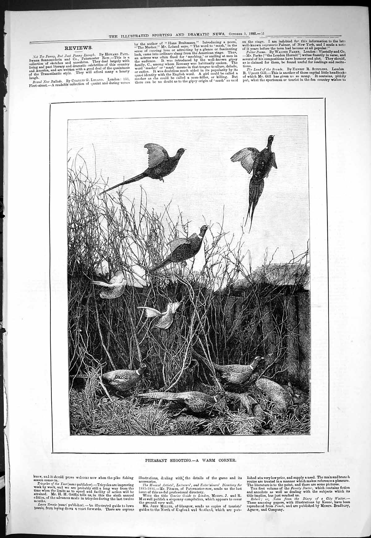Old Sporting Dramatic News 1885 Pheasant Shooting Hunting Birds Sport Victorian