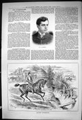 Old Sporting Dramatic News 1885 Harry Eversfield Opera Comique Horse Victorian