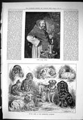 Antique Print Sporting Dramatic News 1885 Toy Dog Show Westminster Aquarium