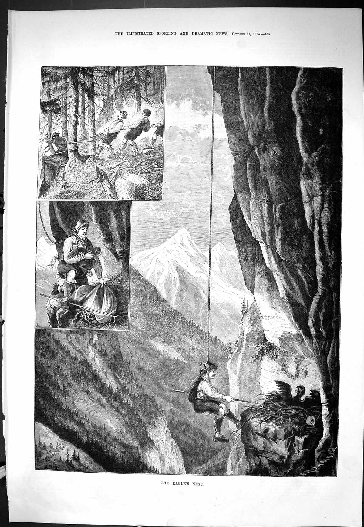 Old Sporting Dramatic News 1885 Eagle'S Nest Mountain Climbing Birds Victorian