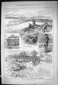 Old Sporting Dramatic News 1885 Grayling Fishing Wiley River Pembroke Victorian