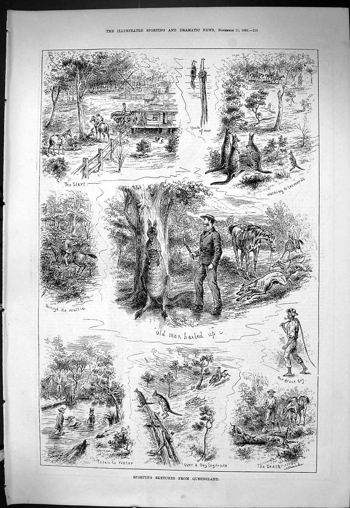 Old Sporting Dramatic News 1885 Queensland Hunting Sport Kangaroo Lee Victorian