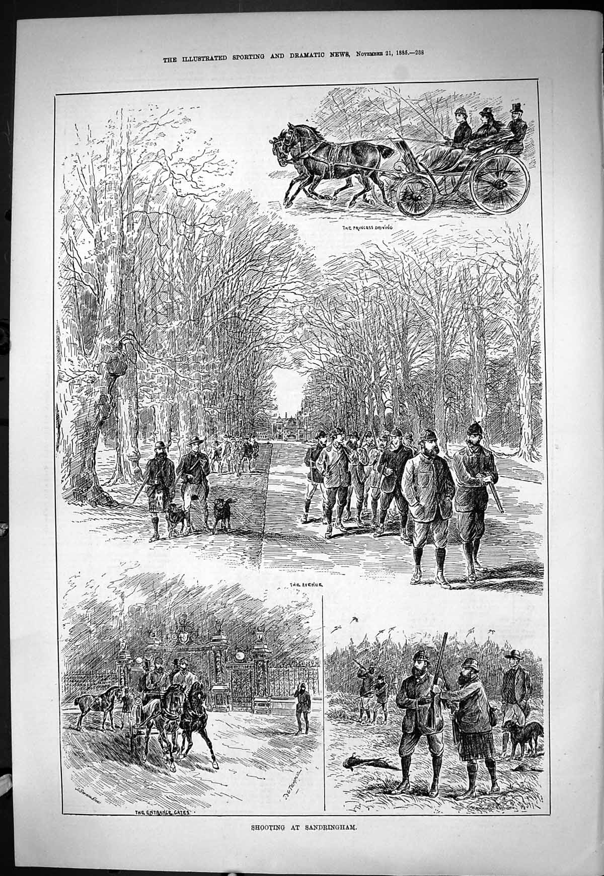 Old Sporting Dramatic News 1885 Hunting Shooting Sandringham Princess Victorian