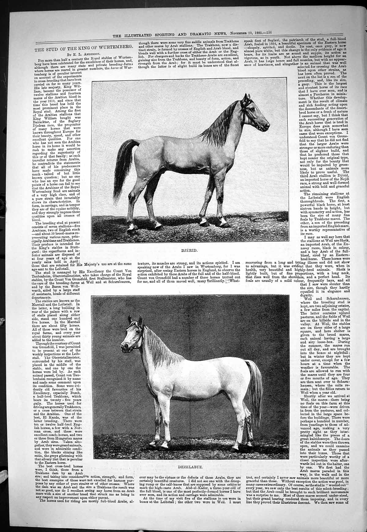Old Sporting Dramatic News 1885 Stud Horses King Wurtemberg Djerid De Victorian