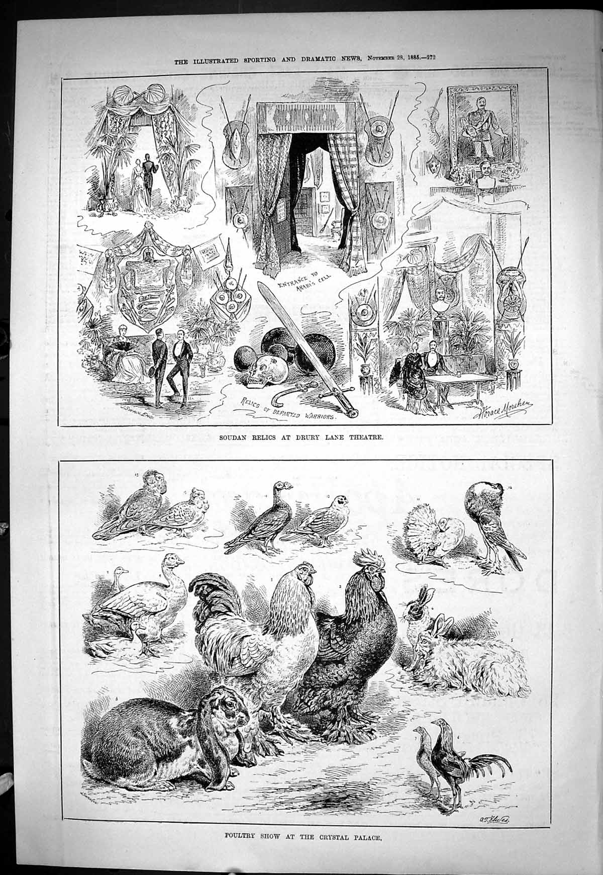 Old 1885 Poultry Show Birds Crystal Palace Soudan Relics Drury Lane T Victorian